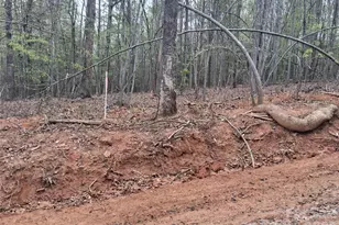 2312 Magnolia PL, Morganton, NC 28655 - Photo 31