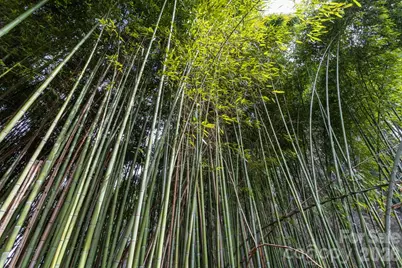 78 and 80 Taylor Street, Asheville, NC 28804 - Photo 5