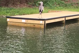 5020 Slanting Bridge Rd, Sherrills Ford, NC 28673 - Photo 3