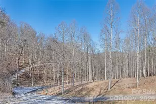 270 Admiration Ct, Waynesville, NC 28785 - Photo 41
