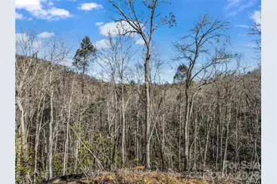 00 Mintwood Court, Lake Lure, NC 28746 - Photo 31