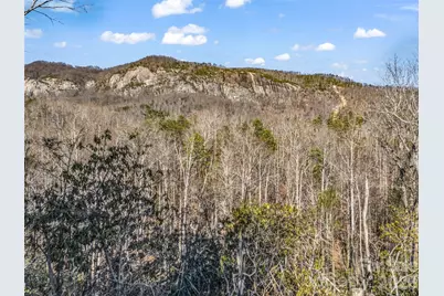 00 Mintwood Court, Lake Lure, NC 28746 - Photo 29