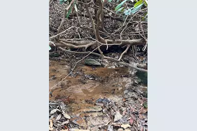 254 Stoney Creek Drive #224, Nebo, NC 28761 - Photo 5