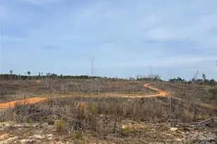 1111 Country Side Dr, Blackstock, SC 29014 - Photo 1