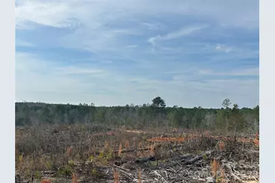 1111 Countryside Drive, Blackstock, SC 29014 - Photo 11