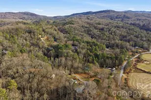 101 Valley Overlook Dr, Pisgah Forest, NC 28768 - Photo 43