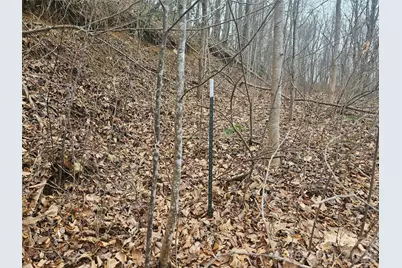 000 Icicle Ridge, Sylva, NC 28779 - Photo 21