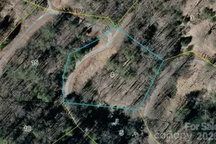 999 Echo Hill Dr, Green Mountain, NC 28740 - Photo 11