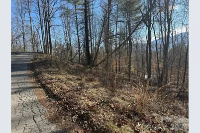 999 Echo Hill Drive #4, Green Mountain, NC 28740 - Photo 5