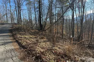 999 Echo Hill Dr, Green Mountain, NC 28740 - Photo 5