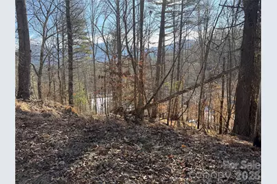 999 Echo Hill Drive #4, Green Mountain, NC 28740 - Photo 9