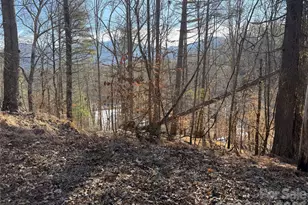 999 Echo Hill Dr, Green Mountain, NC 28740 - Photo 9