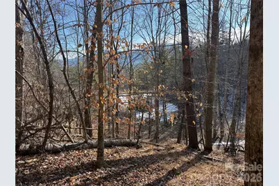 999 Echo Hill Drive #4, Green Mountain, NC 28740 - Photo 7