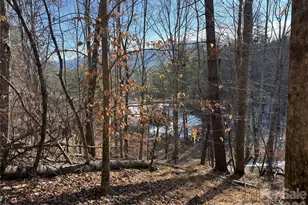 999 Echo Hill Dr, Green Mountain, NC 28740 - Photo 7