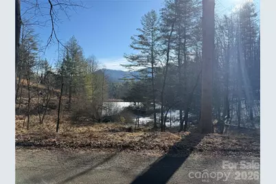 999 Echo Hill Drive #4, Green Mountain, NC 28740 - Photo 3