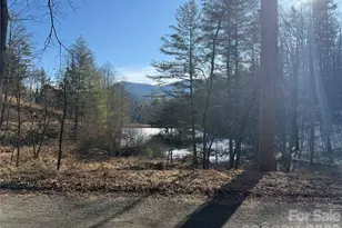 999 Echo Hill Dr, Green Mountain, NC 28740 - Photo 3