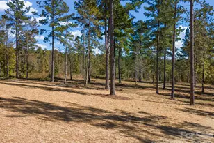 2024 Jumping Run, Connelly Springs, NC 28612 - Photo 35