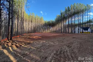 000 Quiver Way, York, SC 29745 - Photo 3