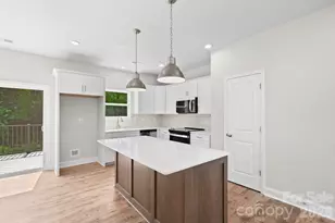 183 Cherry Spgs Ln, Asheville, NC 28804 - Photo 9