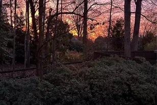 150 Lutomma Cir, Charlotte, NC 28270 - Photo 33