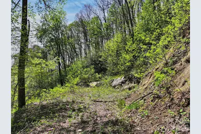 9999 Divit Road #45, Waynesville, NC 28785 - Photo 11