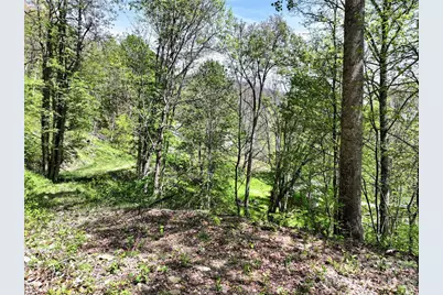 9999 Divit Road #45, Waynesville, NC 28785 - Photo 15