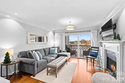 18789 Vineyard Point Lane, Cornelius, NC 28031 - Photo 11