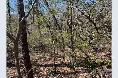 Lot 79 Arrowhead Trail, Columbus, NC 28722 - Photo 3