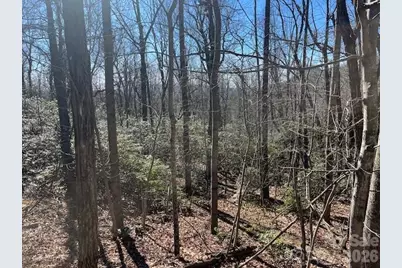 Lot 79 Arrowhead Trail, Columbus, NC 28722 - Photo 1