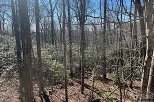 Lot 79 Arrowhead Trail, Columbus, NC 28722 - Photo 1