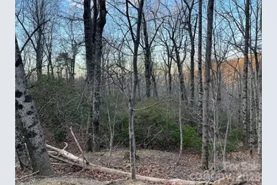 Lot 79 Arrowhead Trail, Columbus, NC 28722 - Photo 7