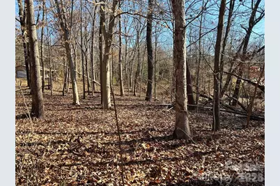 00 Walker Branch Road, Lincolnton, NC 28092 - Photo 3
