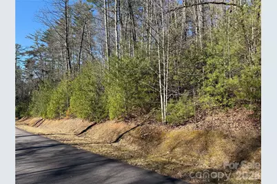 Lot 25 (A and B) Rockbrook Overlook, Brevard, NC 28712 - Photo 5