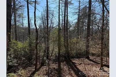 Lot 25 (A and B) Rockbrook Overlook, Brevard, NC 28712 - Photo 7