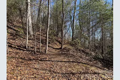 33 High Point Trail, Brevard, NC 28712 - Photo 3