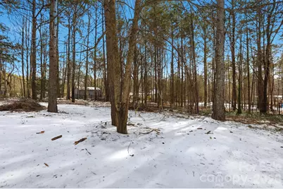 160 Arrow Point Lane, Davidson, NC 28036 - Photo 47