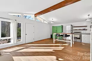 107 High St, Black Mountain, NC 28711 - Photo 9