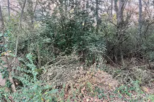 Tbd Willow St, Concord, NC 28025 - Photo 5