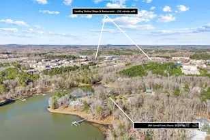 294 Carroll Cove, Clover, SC 29710 - Photo 27