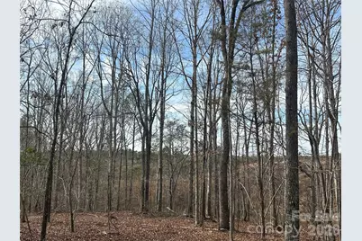 33 Ac Lot A Countryside Drive, Blackstock, SC 29014 - Photo 1