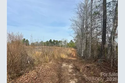 33 Ac Lot A Countryside Drive, Blackstock, SC 29014 - Photo 5