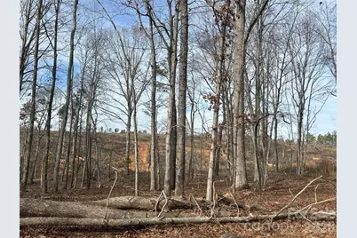 33 Ac Lot A Countryside Drive, Blackstock, SC 29014 - Photo 27