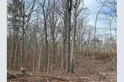 33 Ac Lot A Countryside Drive, Blackstock, SC 29014 - Photo 17