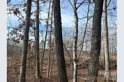 33 Ac Lot A Countryside Drive, Blackstock, SC 29014 - Photo 25