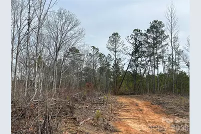 33 Ac Lot A Countryside Drive, Blackstock, SC 29014 - Photo 21