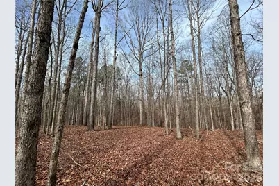 33 Ac Lot A Countryside Drive, Blackstock, SC 29014 - Photo 15