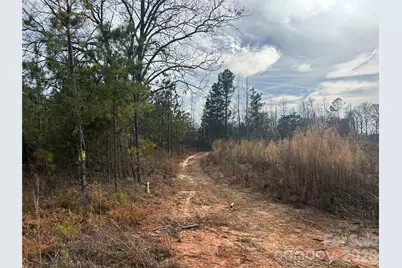 33 Ac Lot A Countryside Drive, Blackstock, SC 29014 - Photo 3
