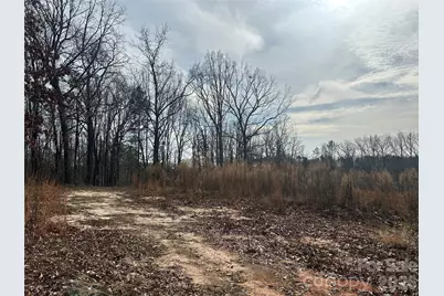 33 Ac Lot A Countryside Drive, Blackstock, SC 29014 - Photo 9