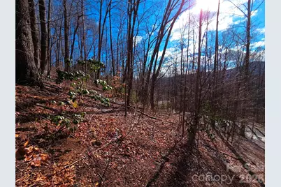455 Mountain Watch Drive #16, Waynesville, NC 28785 - Photo 13