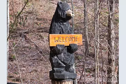 455 Mountain Watch Drive #16, Waynesville, NC 28785 - Photo 3